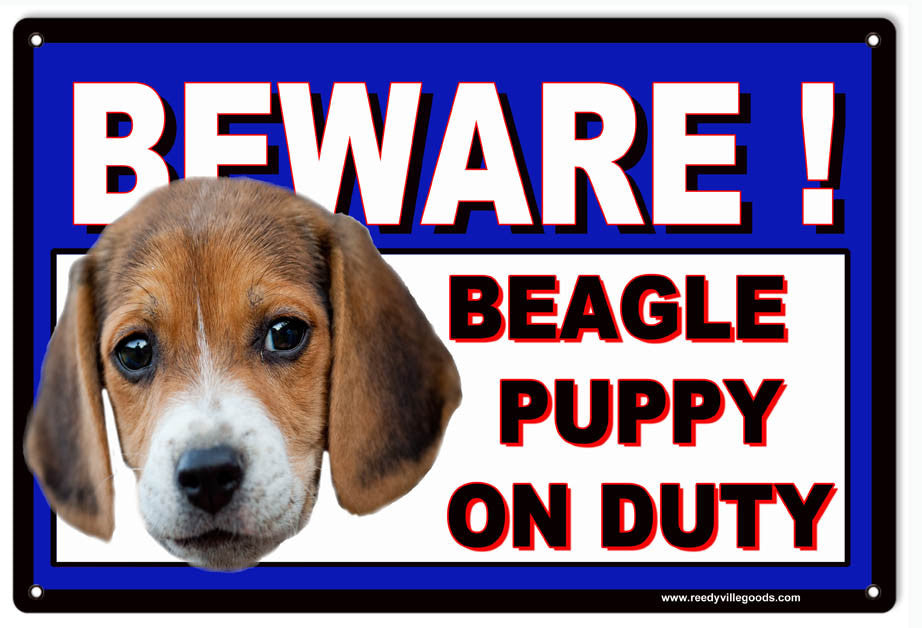 BEWARE BEAGLE PUPPY ON DUTY SIGN