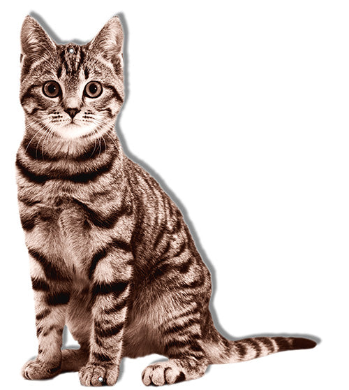 Brown And Black Stripe Cat Laser Cut Out Reproduction Sign 12″x16″