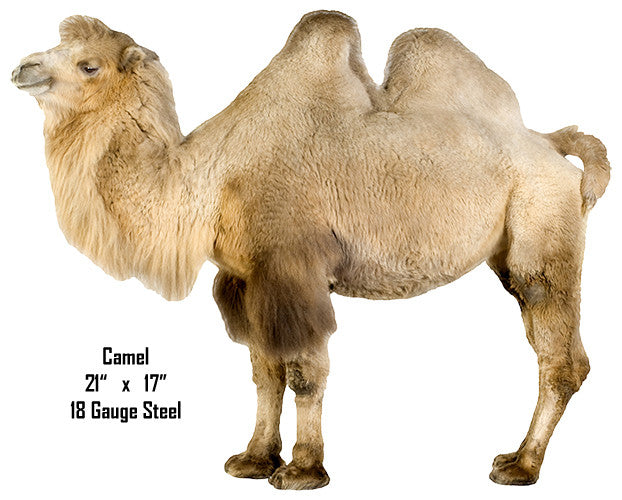 Bactrian Camel Animal Wall Art Laser Cut Out Metal Sign 15″x18″