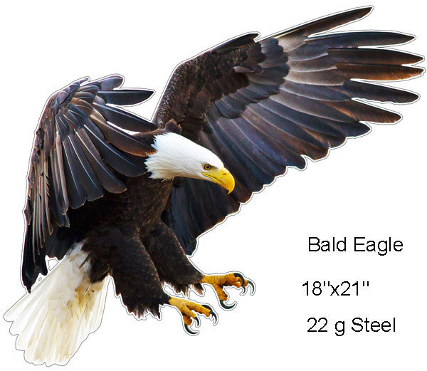 Bald Eagle Animal Wall Art Laser Cut Out Metal Sign 18″x21″