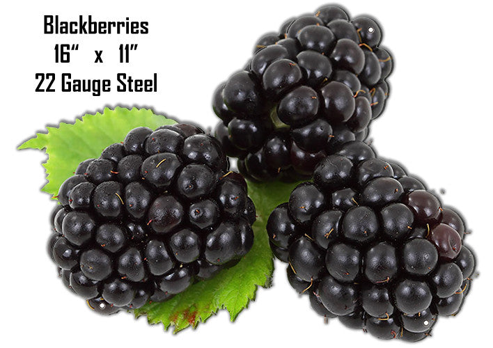 Blackberries Wall Art Laser Cut Out Metal Sign 11″x16″