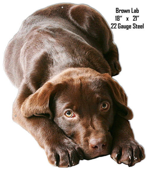 Baby Brown Lab Wall Art Laser Cut Out Metal Sign 18″x21″