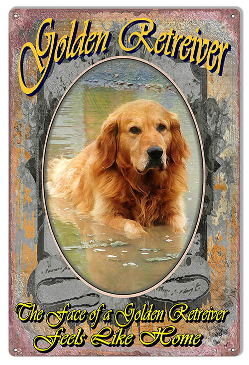 The Face Of A Golden Retriever Reproduction Animal Metal Sign 12″x18″