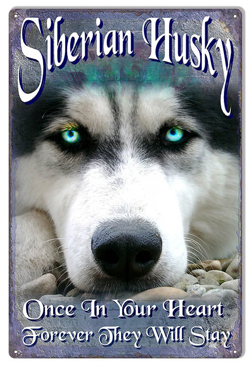 Siberian Husky By Artist Phil Hamilton Sign 12x18