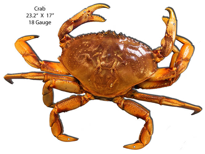 Crab Sea Animal Laser Cut Out Wall Art Metal Sign 17x23.2