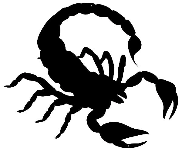 Scorpion Laser Cut Out Wall Décor Silhouette Metal Sign 19.5x23