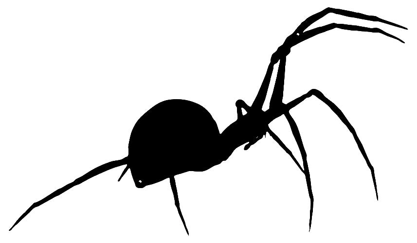 Black Widow Spider Cut Out Wall Décor Silhouette Metal Sign 13.5x23