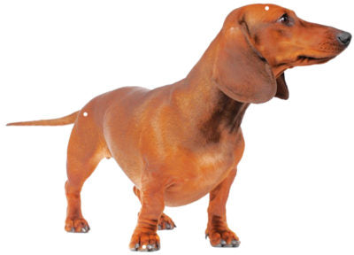 Wiener Dog Laser Cut Out Sign 14x19