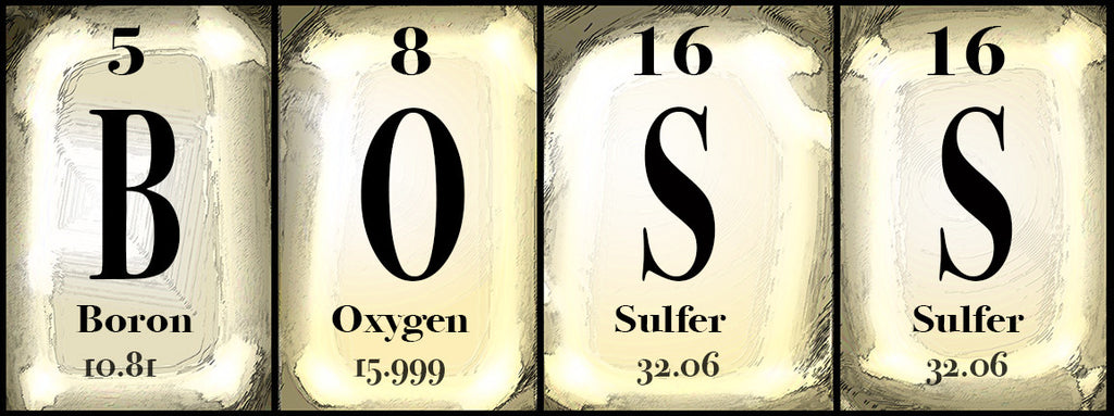 'Boss' periodic Table sign        10" x  20"