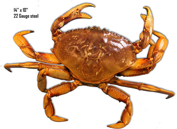 Crab Sea Animal Wall Art Laser Cut Out Metal  Sign 10″x14″