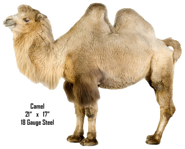 Bactrian Camel Animal Wall Art Laser Cut Out Metal  Sign 15″x18″