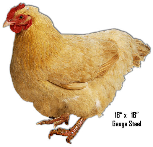 Hen Animal Wall Art Laser Cut Out Metal  Sign 16″x17″