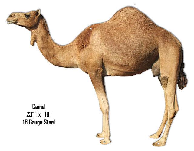 Camel Animal Wall Art Laser Cut Out Metal  Sign 18″x23″