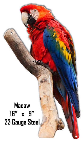 Macaw Animal Wall Art Laser Cut Out Metal  Sign 9″x16″