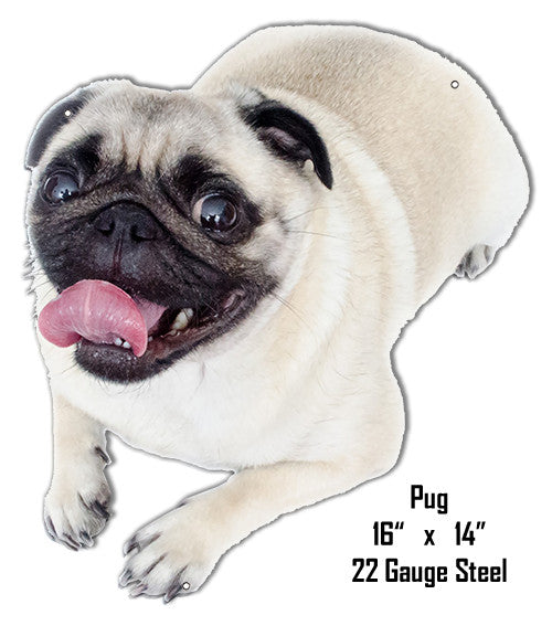 Off White Pug Wall Art Laser Cut Out Metal  Sign 14″x16″