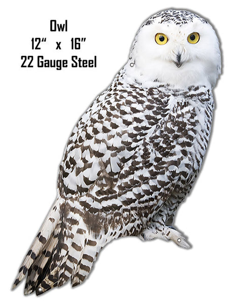 Owl Animal Wall Art Laser Cut Out Metal Sign 12″x16″
