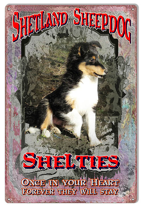 Shelties Once In Your Heart Reproduction Metal  Sign 12″x18″