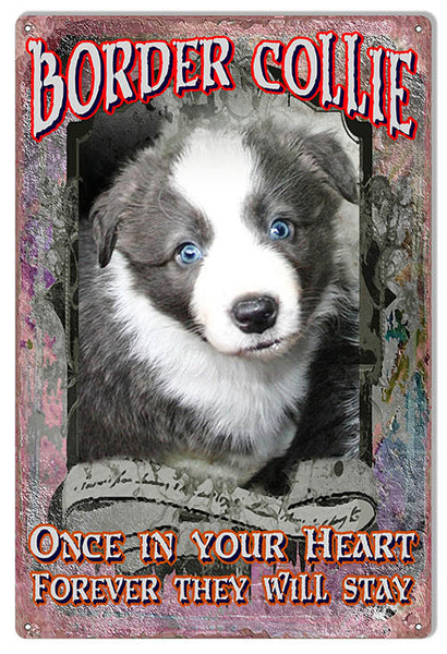 Border Collie In Your Heart Reproduction Animal Metal  Sign 12″x18″