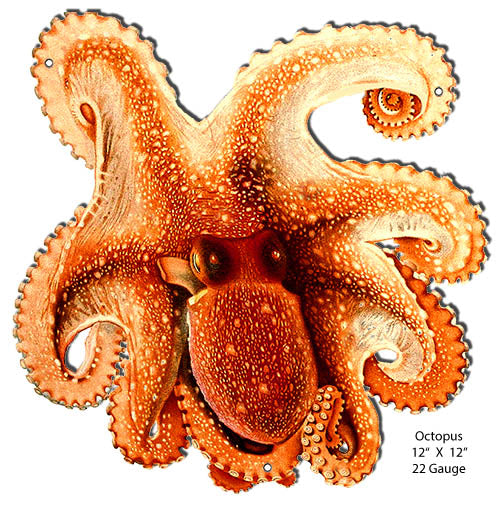 Octopus  Laser Cut Out Metal Sign 12x12 This Is A Flat Metal  Sign RVG1550S