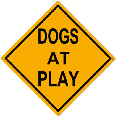 Dogs At Play Metal Sign 12x12