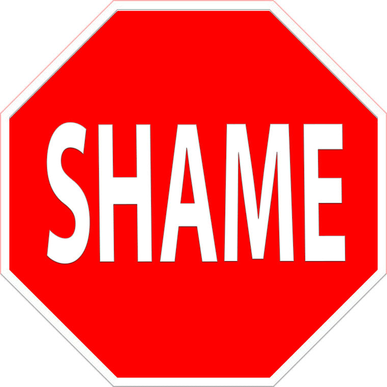 SHAME Metal Sign – Laughing Dog Signs