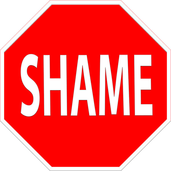 SHAME Metal Sign